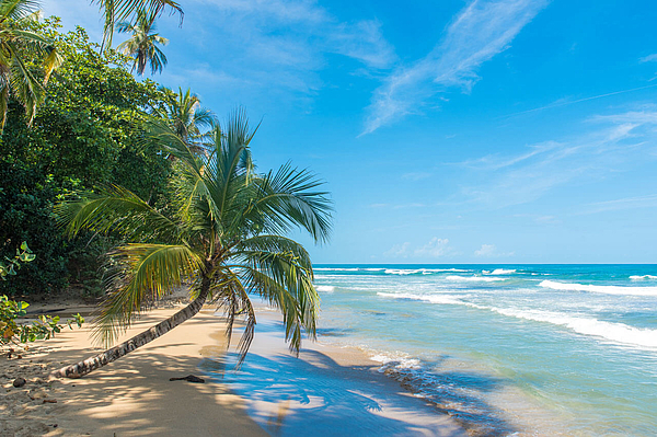 Idyllischer Palmenstrand Playa Chiquita in Costa Rica mit feinem Sand und türkisfarbenem Meer.