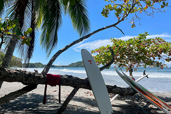 Surfbretter lehnen an einem Baum am Strand von Costa Rica, Surfer machen Pause im Schatten.