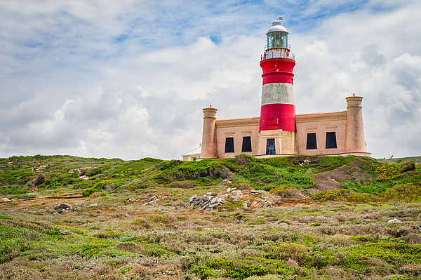 Leuchtturm Cape Agulhas über Dünen.
