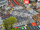 Lebhafte Shibuya Crossing in Tokio aus der Höhe mit pulsierender Stimmung während einer Japan Sprachreise