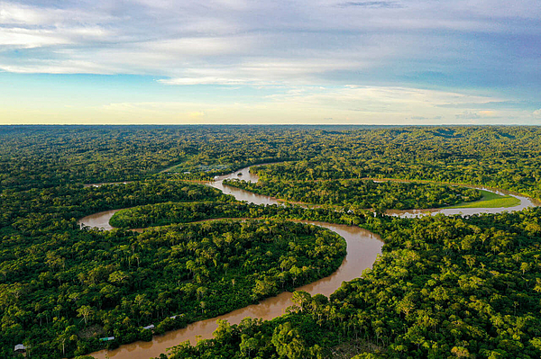 Luftaufnahme Amazonas Flusslandschaft
