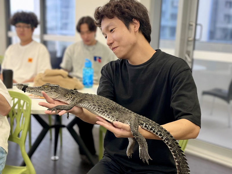 Teilnehmender zeigt in der Sprachschule ein Krokodil bei interaktivem Englischunterricht