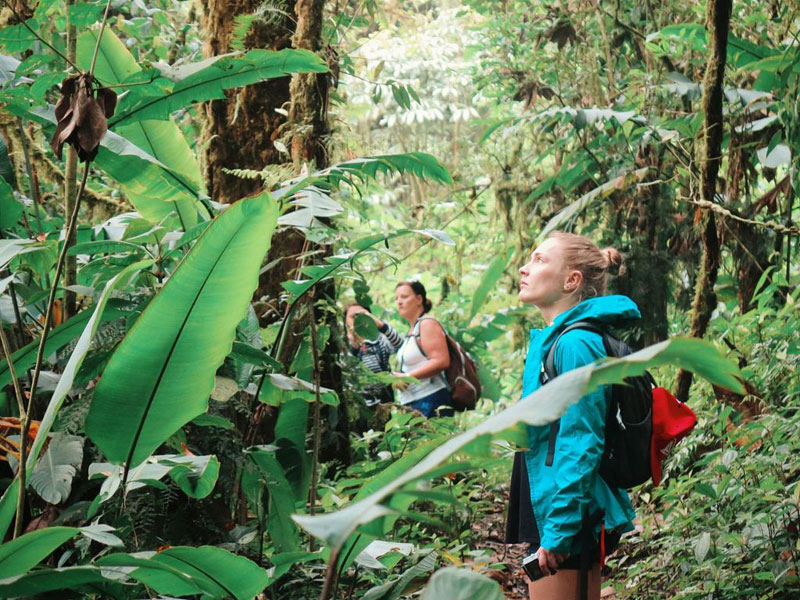 Sprachschülerin auf einem Ausflug in den Regenwald während ihrer Spanisch Sprachreise in Costa Rica