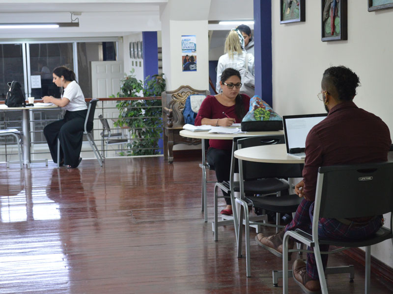 Lernende arbeiten konzentriert in den Gemeinschaftsbereichen der Schule