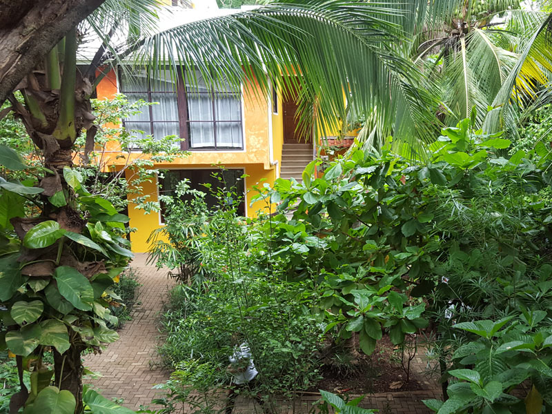 WAYRA Instituto de Espanol