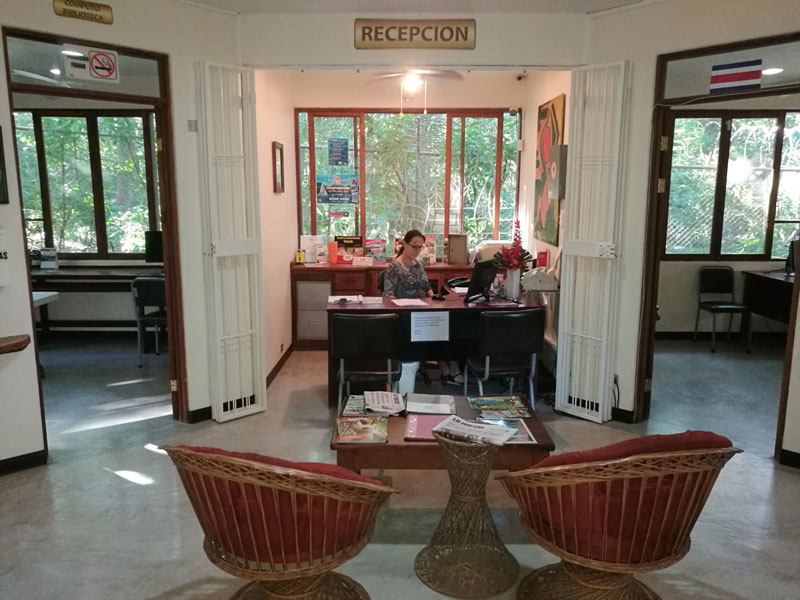 Empfangsbereich der Sprachschule mit freundlicher Atmosphäre