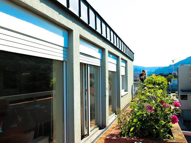 Dachterrasse der OISE Sprachschule Heidelberg mit Blumen und Aussicht über die Stadt 