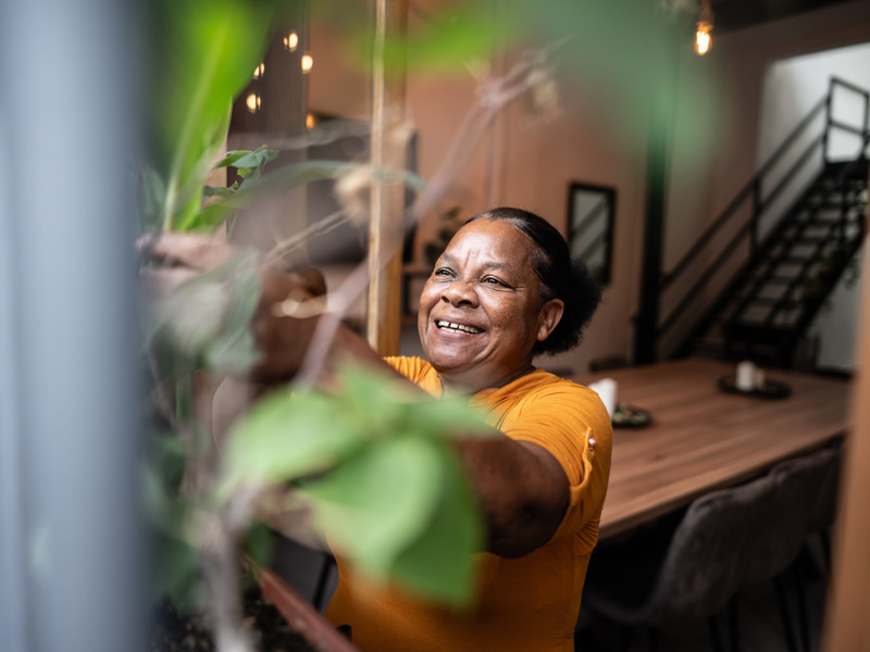 IIC Instituto Intercultural del Caribe