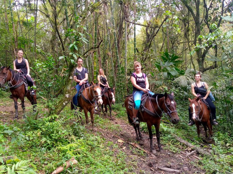 Gruppe von Reitenden im tropischen Regenwald nahe Montañita während eines Ausflugs zu Pferd