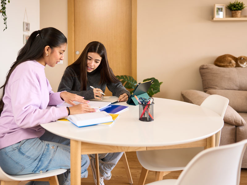 Aprendizaje en grupo de los alumnos en una familia de acogida durante el viaje de estudios a Inglaterra