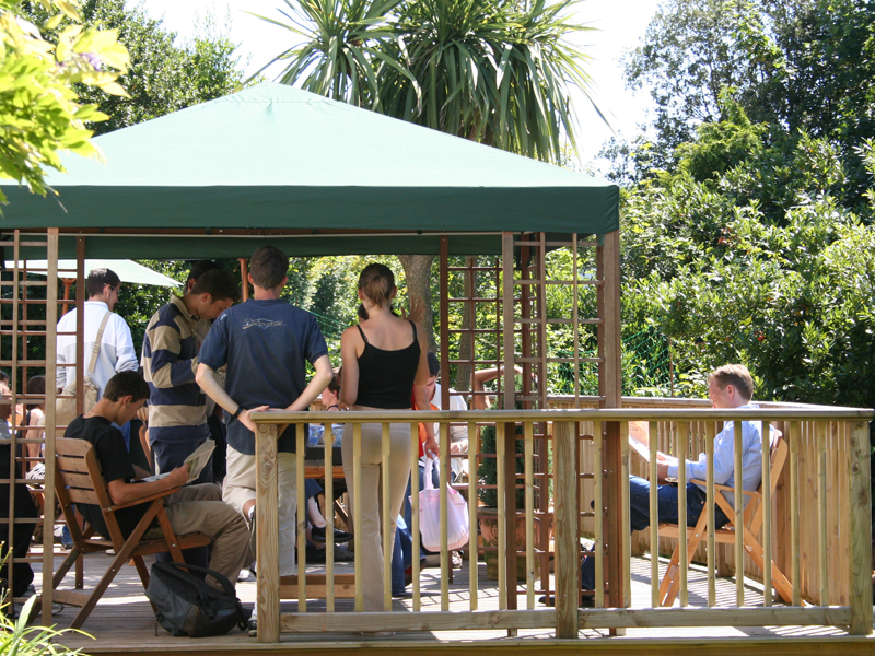 Sprachschüler*innen entspannen im Gartenpavillon der Torquay International School zwischen den Unterrichtseinheiten