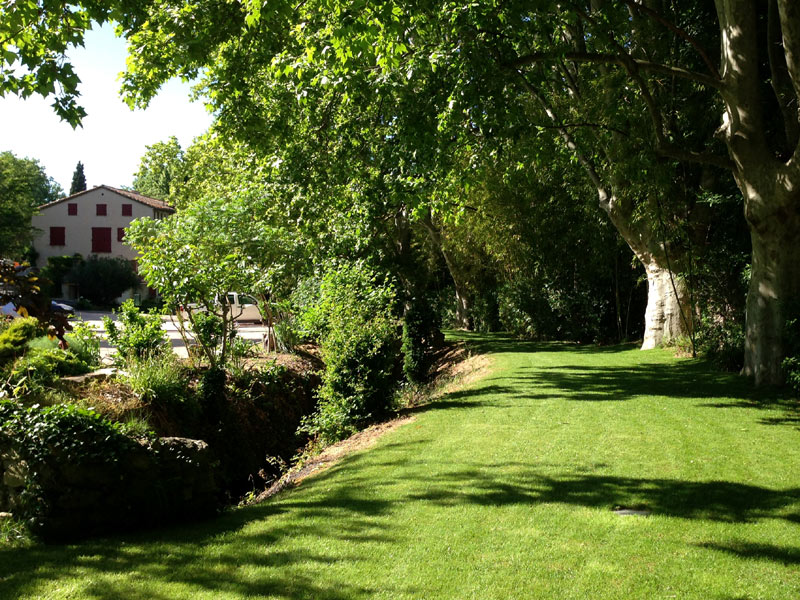 Grüner Garten mit Bäumen und Rasenfläche bei der Sprachschule IS Aix-en-Provence