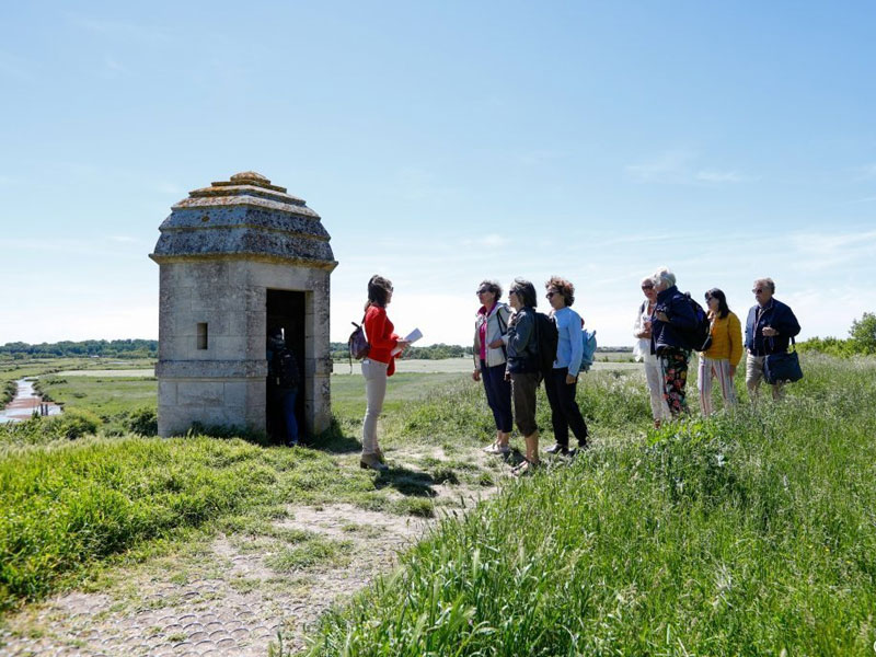 Exkursion mit Teilnehmern der Inlinuga Sprachschule La Rochelle in der Natur