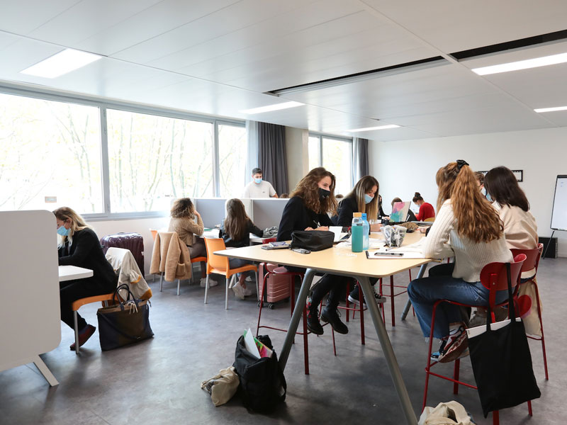 Französischunterricht in der LSF IEF Sprachschule Montpellier für Schüler