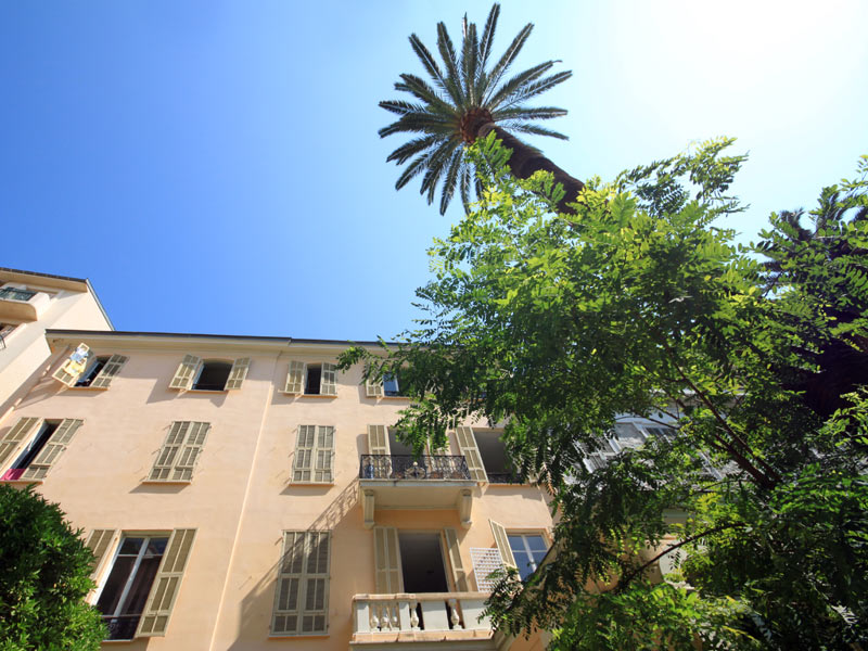Gebäude der Alpadia Sprachschule Nizza mit Palmen unter blauem Himmel