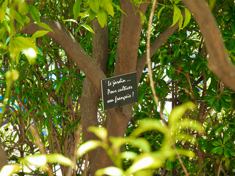 Garten der Alpha.b Sprachschule Nizza mit französischem Spruchschild