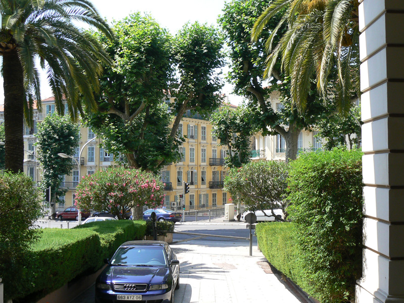 Blick auf die Umgebung der Idiom Sprachschule Nizza mit Palmen und Stadtansicht