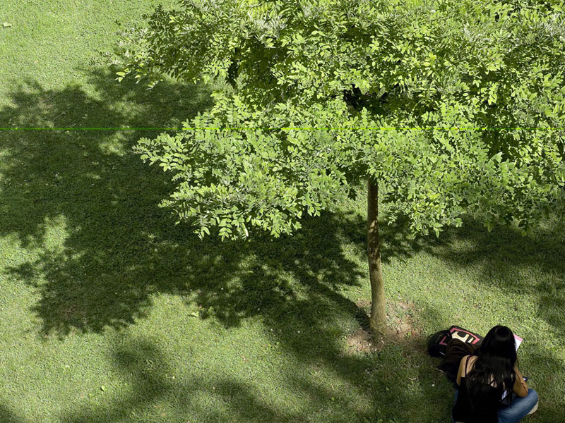 Sprachschülerin lernt im Schatten eines Baums im grünen Park der Cavilam Sprachschule in Vichy