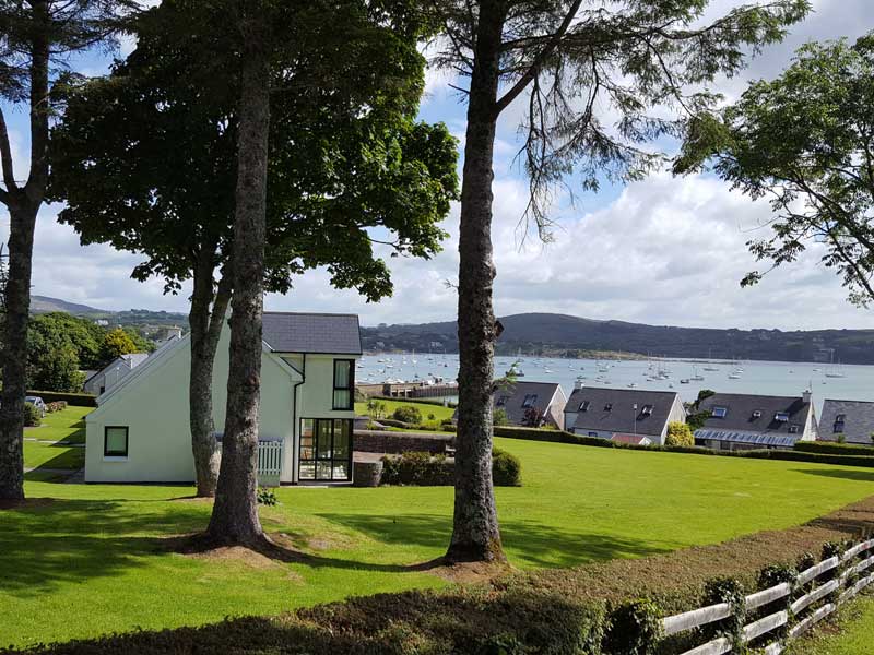 Atlantic Seal - Junior