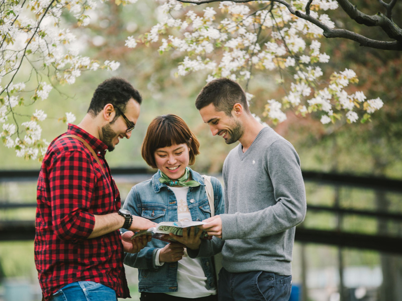 Sprachschüler erkunden gemeinsam einen Park in Toronto während ihres Sprachaufenthalts