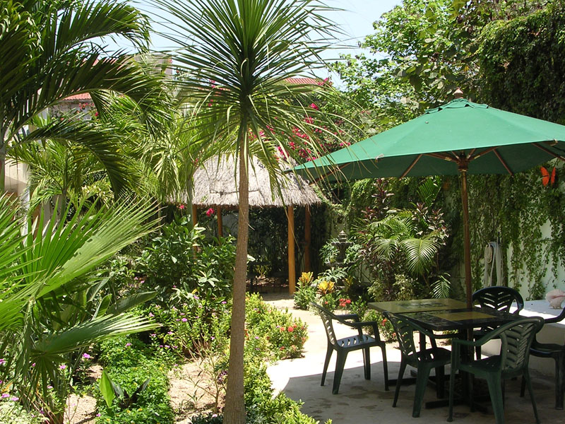 Grüner Innenhof mit Tischen unter Sonnenschirmen, entspannte Atmosphäre für Sprachreisen