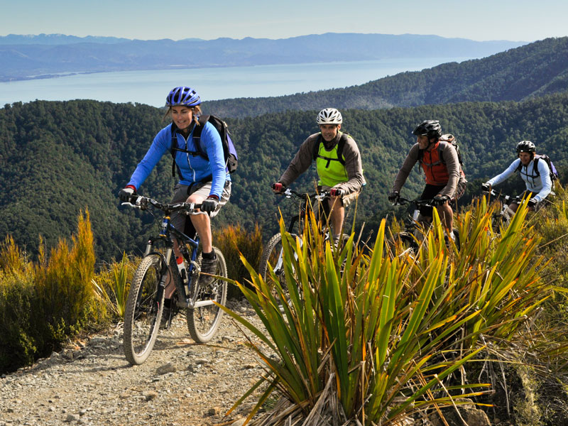 Mountainbike-Tour in der Umgebung von Nelson in Neuseeland