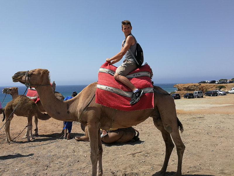 Freizeitaktivität mit Kamelausritt am Meer während der Sprachreise in Cádiz
