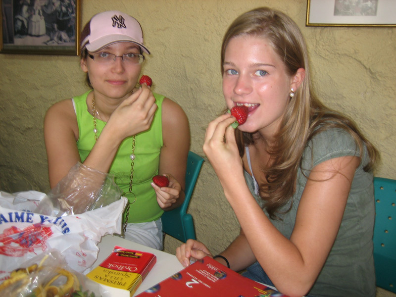 Sprachschülerinnen lernen gemeinsam Spanisch und genießen frische Erdbeeren