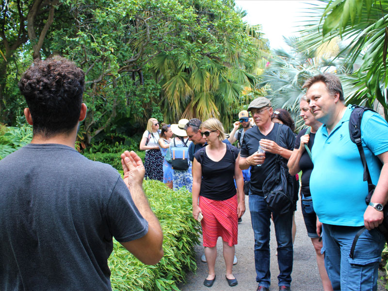 Exkursion der Sprachschule durch tropische Gärten auf Teneriffa
