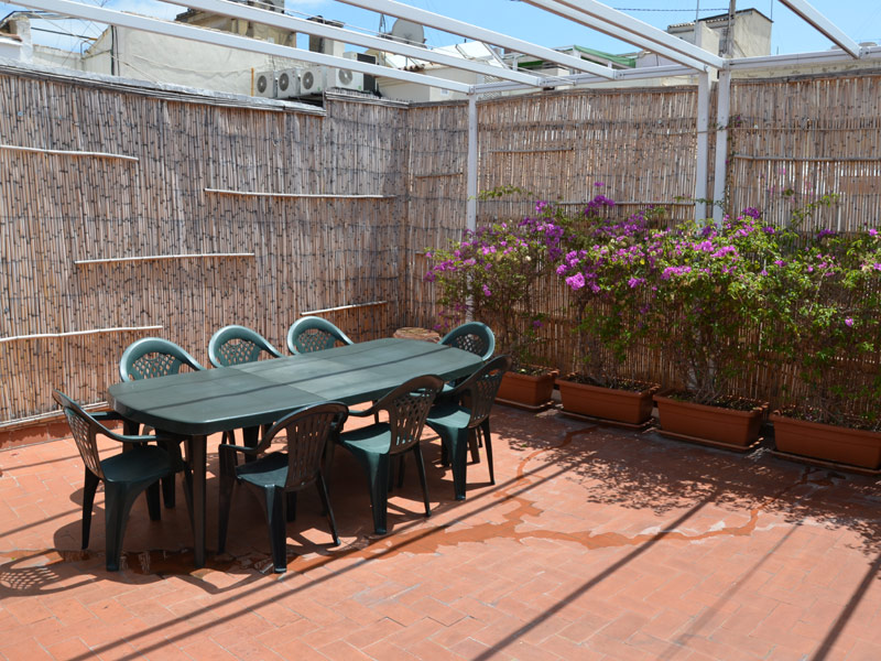 Dachterrasse der Sprachschule mit Sitzbereich und Pflanzen
