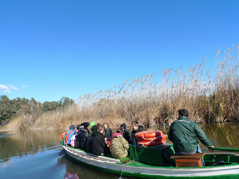 Exkursion mit Bootsfahrt im Naturpark Albufera bei Valencia