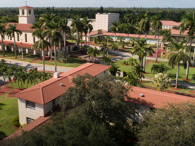 TLA The Language Academy - Junior