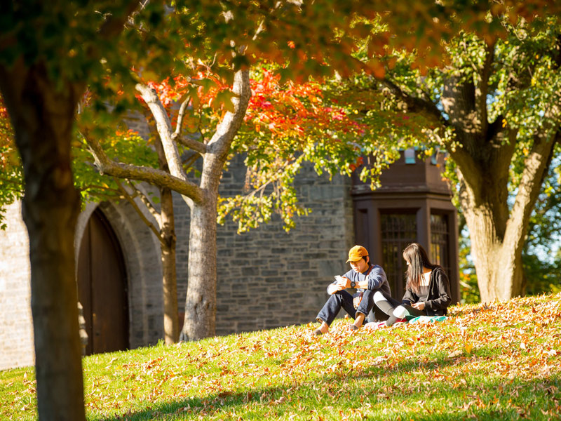 Studierende der Kings New York Sprachschule sitzen im Herbst unter Bäumen auf dem Campus
