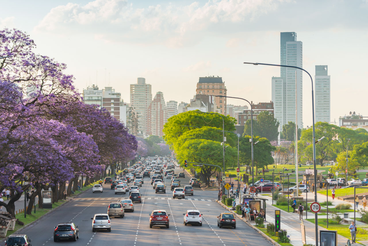 Straße mit Jacarandabäumen und Skyline in Buenos Aires Spanischkurs Vokabeln lernen