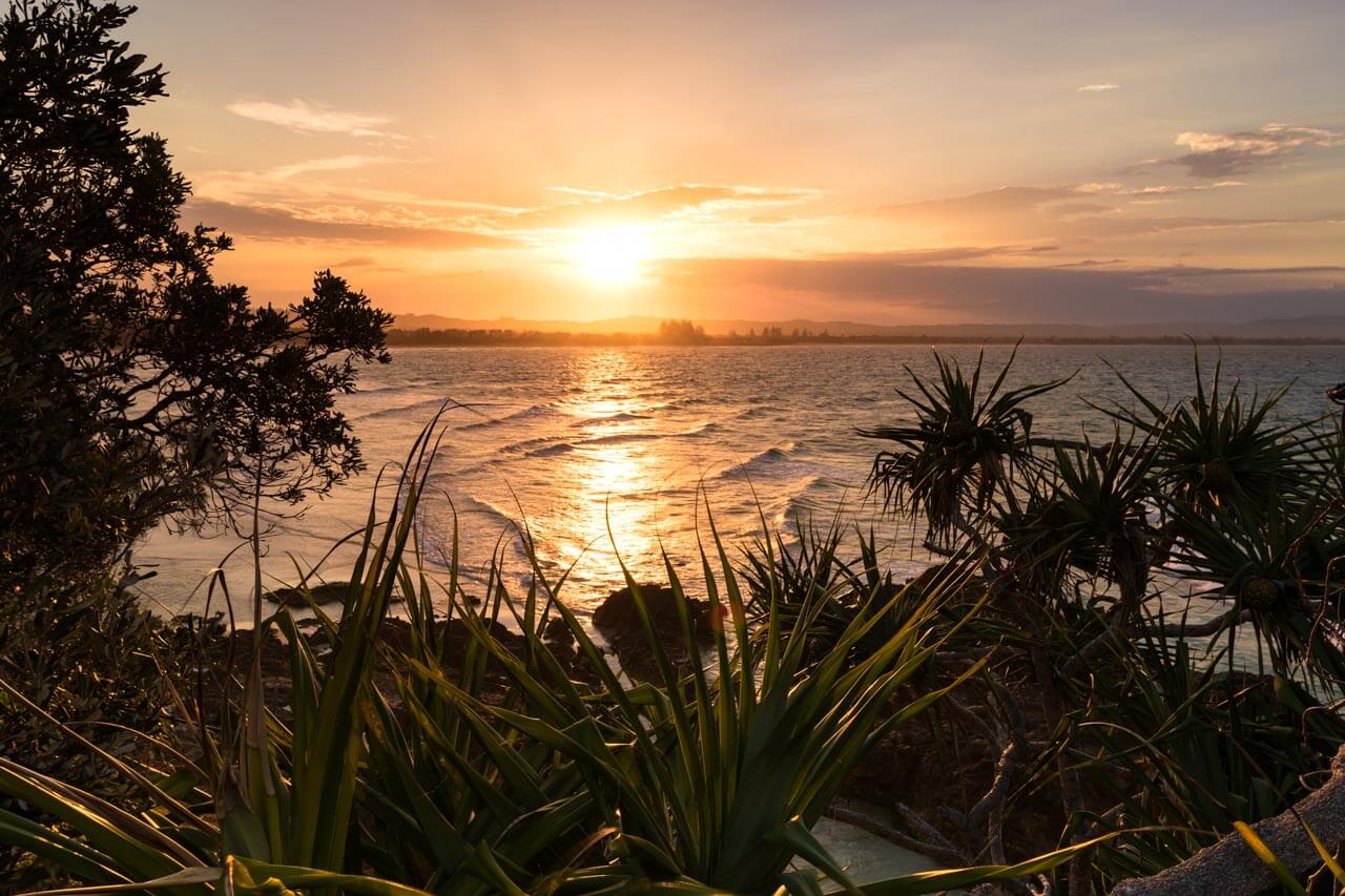 Sonnenuntergang über dem Meer hinter Küstenpflanzen, warme Wellen glitzern. Konversation üben über Reisepläne.