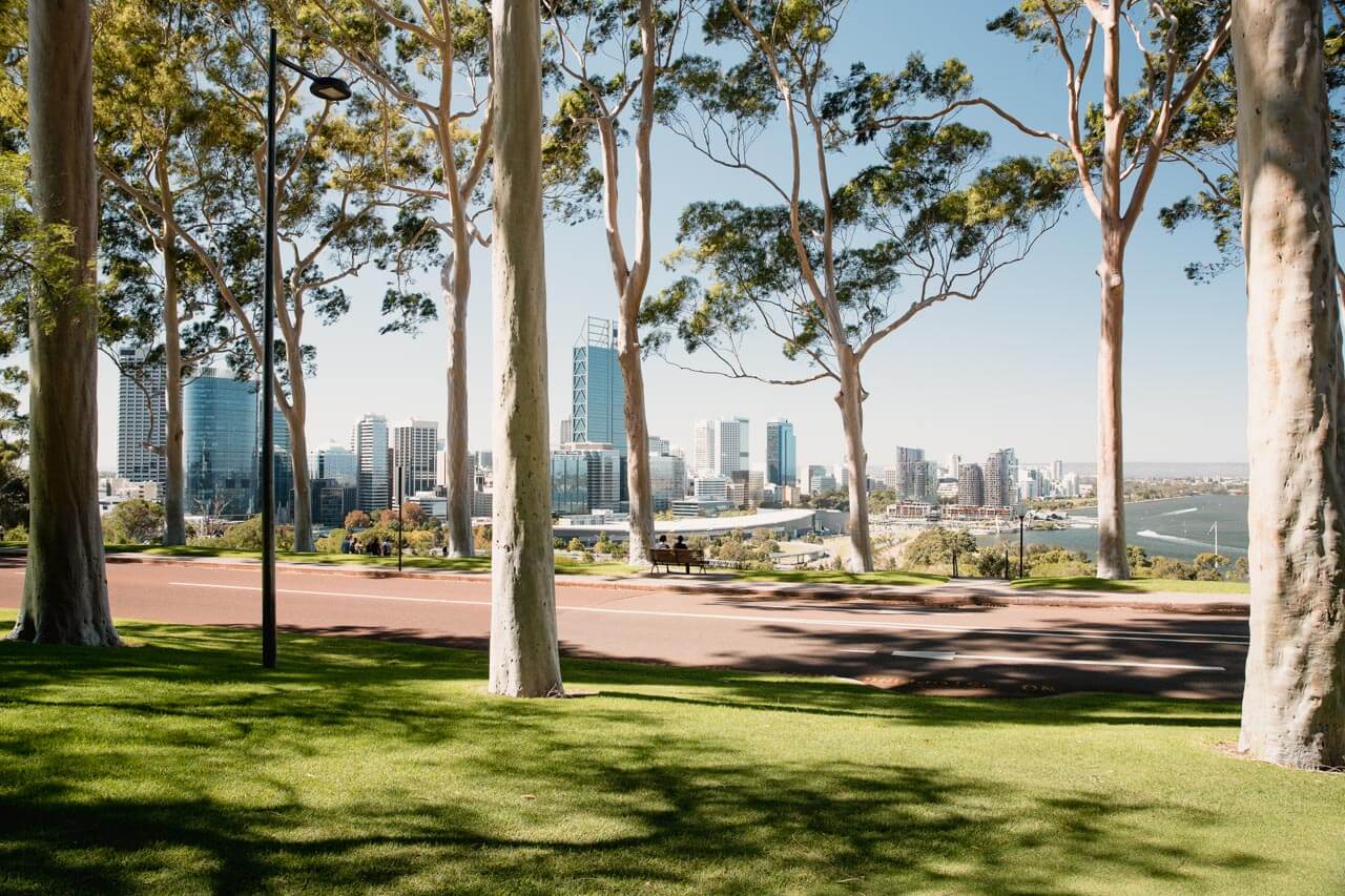 Blick durch hohe Bäume auf die Skyline von Perth, entspannter Sprachkurs mit Lernen im Park.