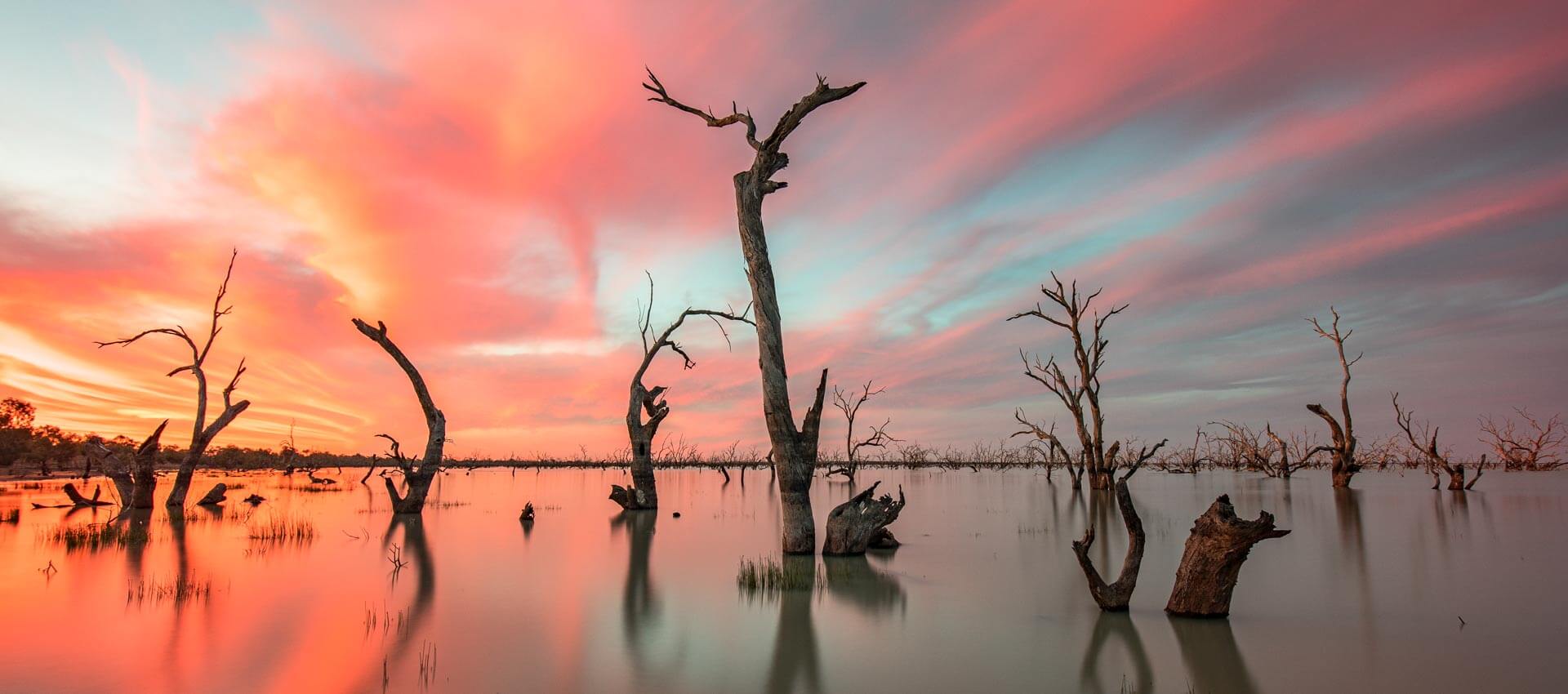 Spiegelnder See mit kahlen Bäumen im Abendrot, stille Naturpause nach dem Sprachkurs.