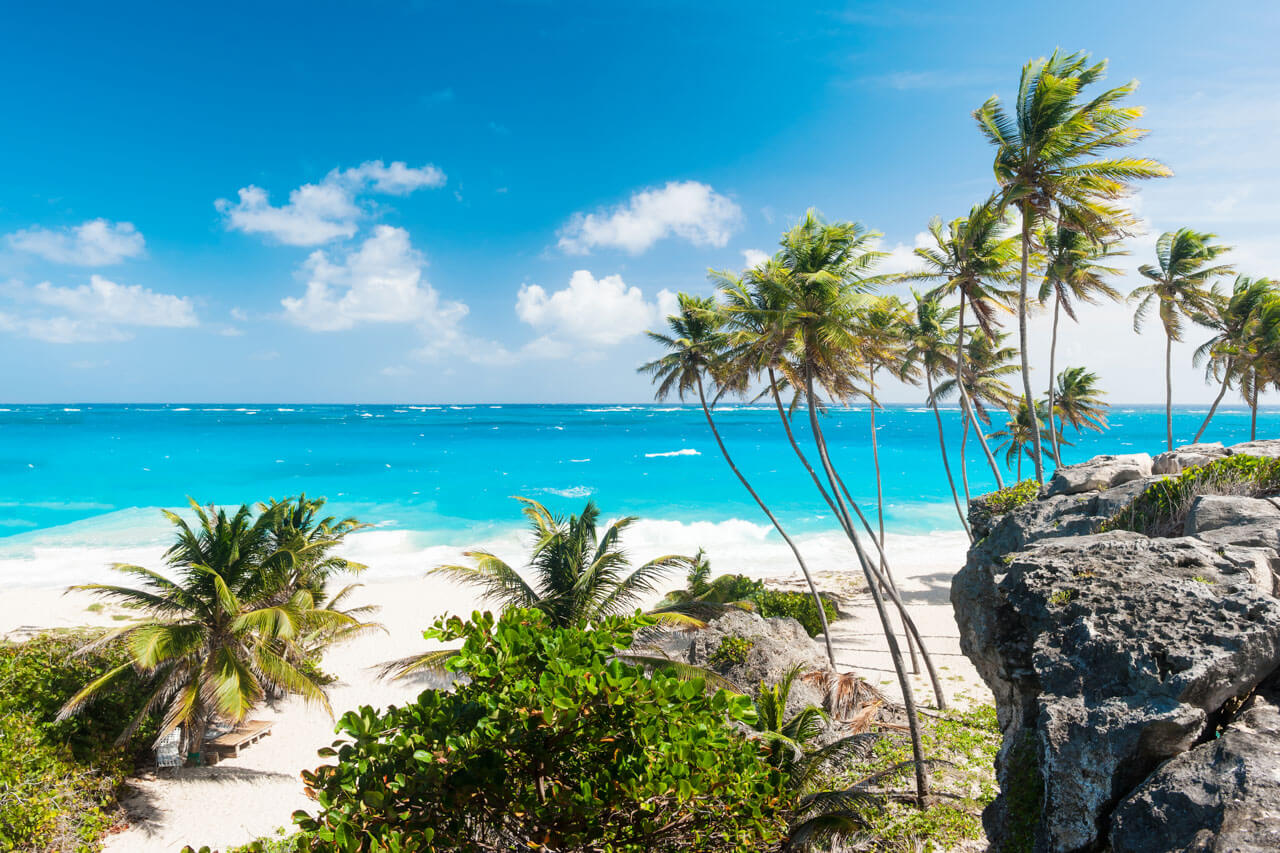 Türkises Meer, Palmen und Felsen an der Küste, Exkursion der Sprachreise, Aussprache verbessern in Küstenatmosphäre.