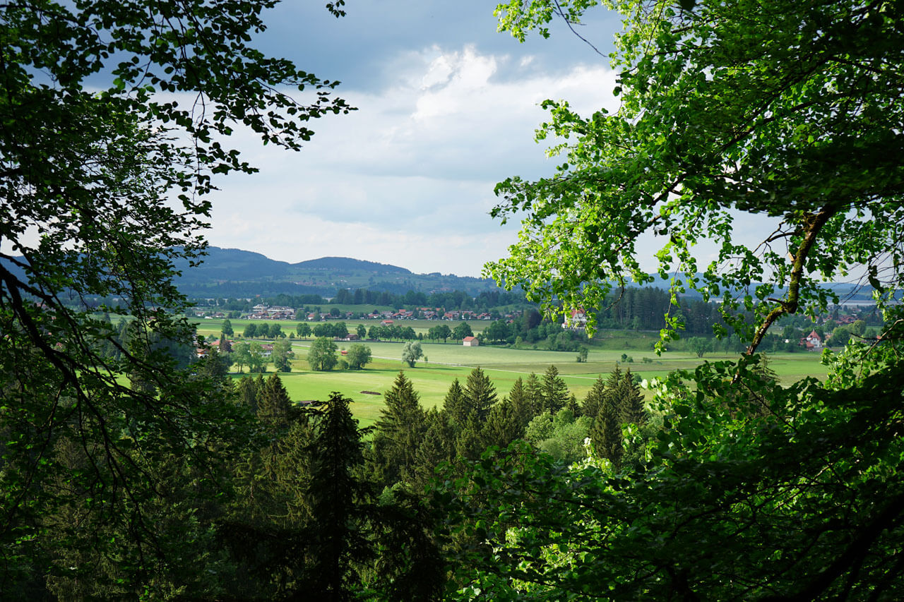Talblick durch Blätterrahmen, Sprachreise Deutschland mit Natur erleben und Deutsch lernen.