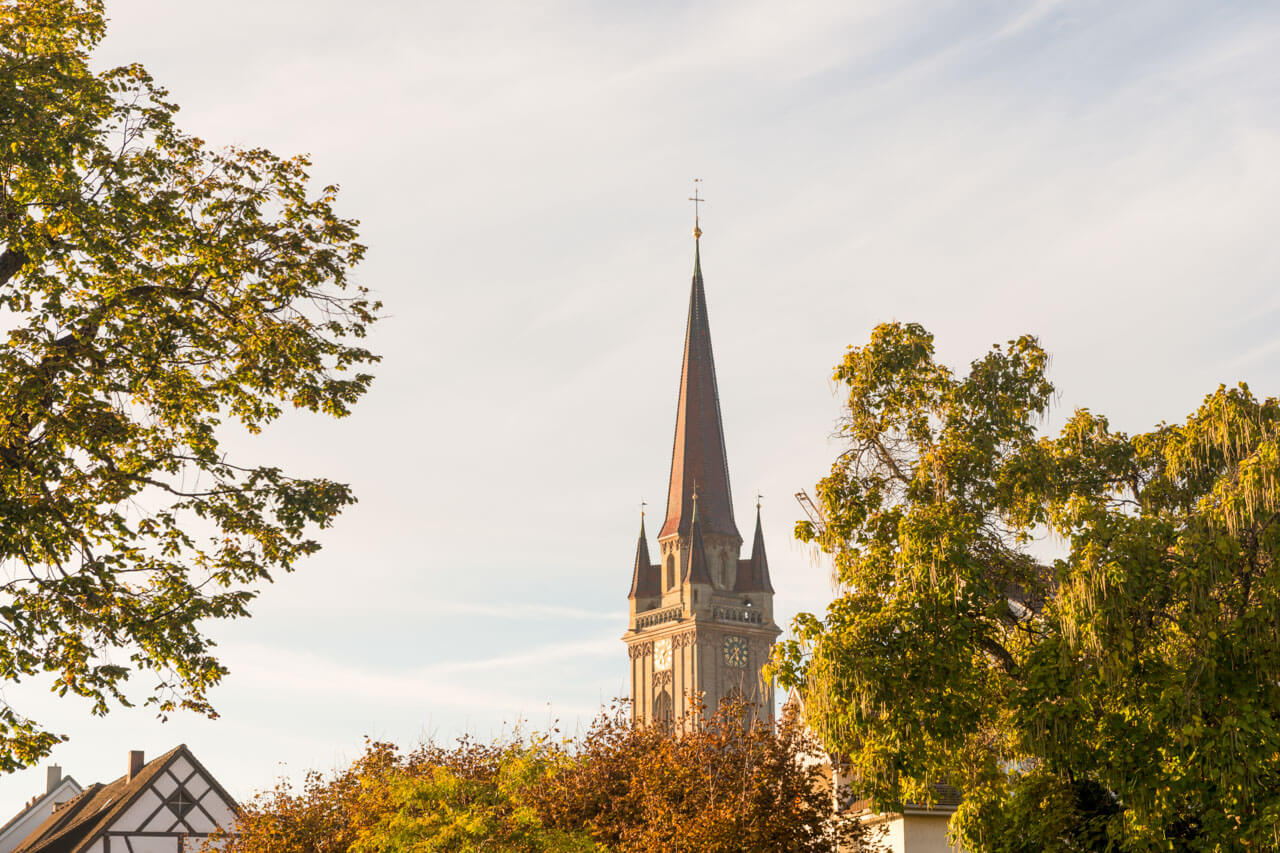 Spitzer Kirchturm in der Altstadt, von grünen Bäumen und Fachwerkdächern eingerahmt.