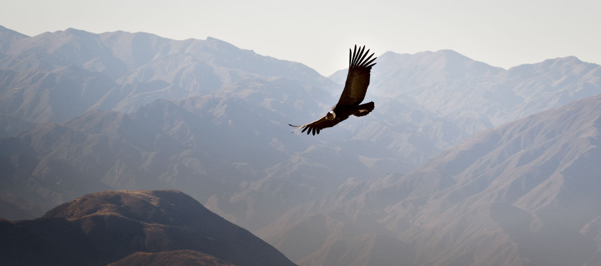 Basilika del Voto Nacional in Quito Sprachkurs in der Stadt Grammatik anwenden