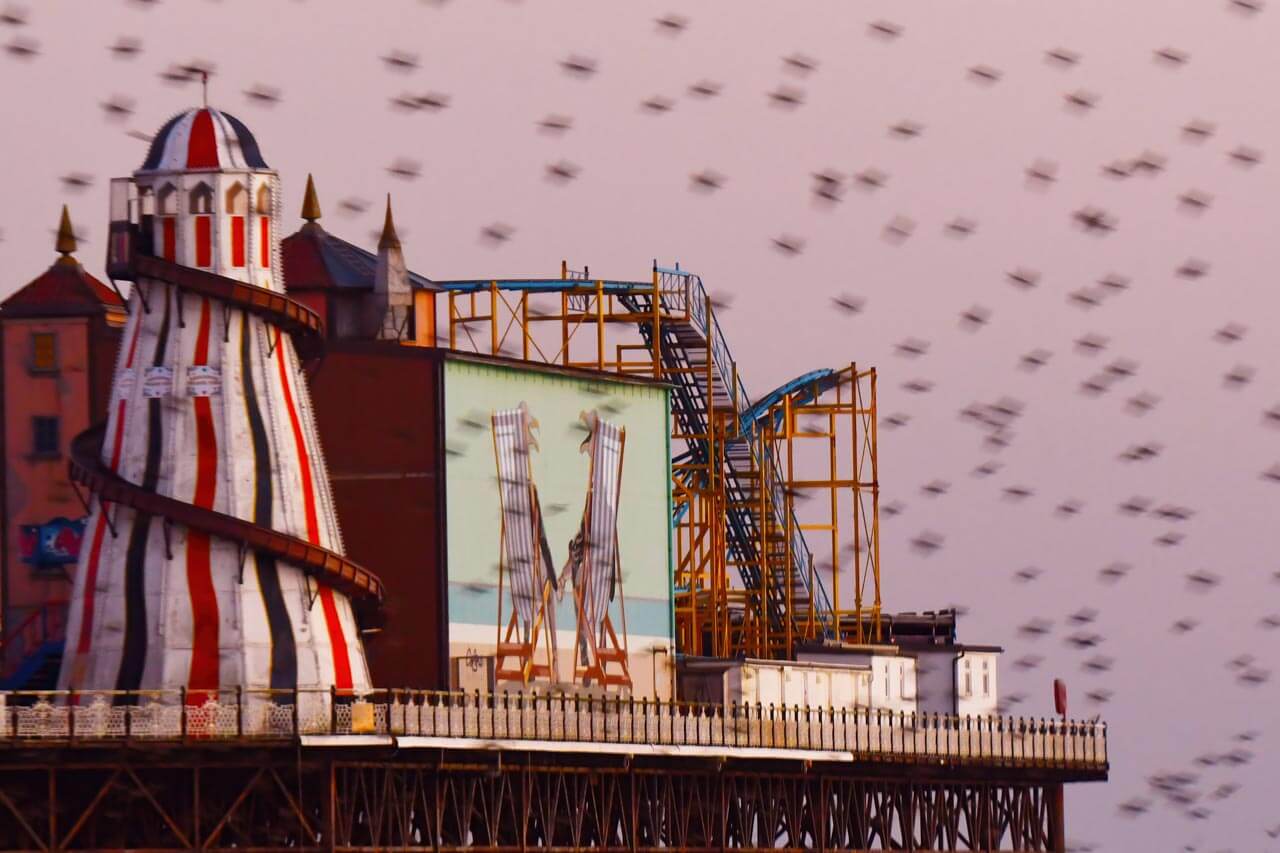 Bunte Attraktionen auf dem Brighton Pier mit vorbeiziehenden Vögeln – Freizeit während der Sprachreise
