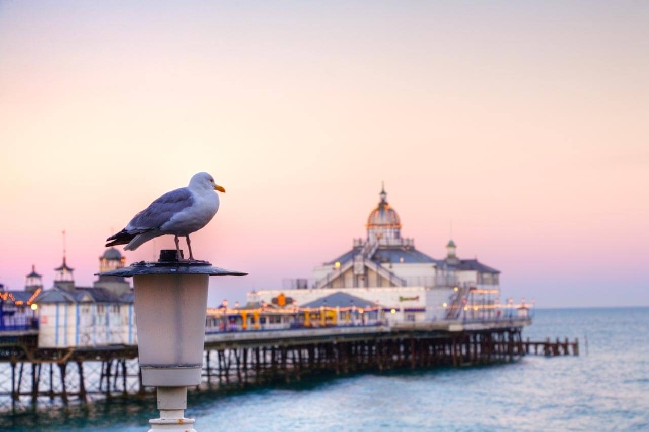 Möwe auf Laterne am Eastbourne Pier bei Sonnenaufgang Hörverstehen üben am Meer