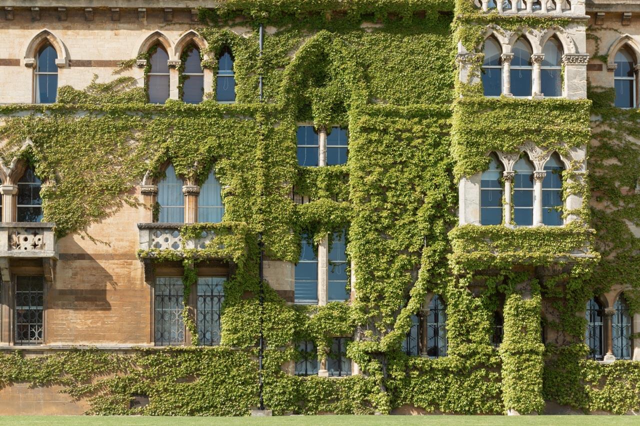 Efeubewachsene Fassade des Christ Church College in Oxford Adjektive und Beschreibungen trainieren im Englischunterricht