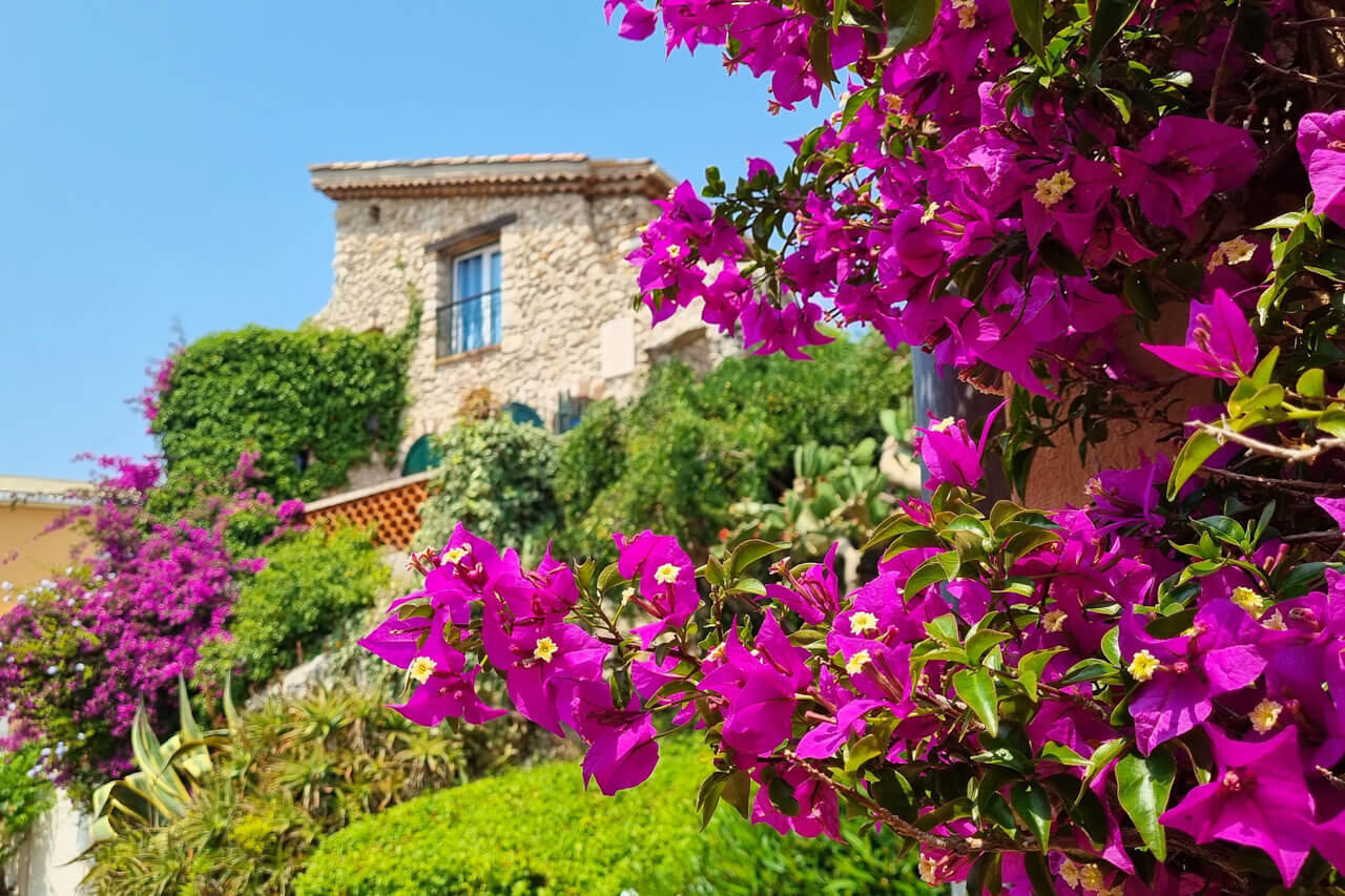 Blumen an Hausfassade in Antibes Sprachreise Französischkurs Grammatik üben in Alltagsszenen