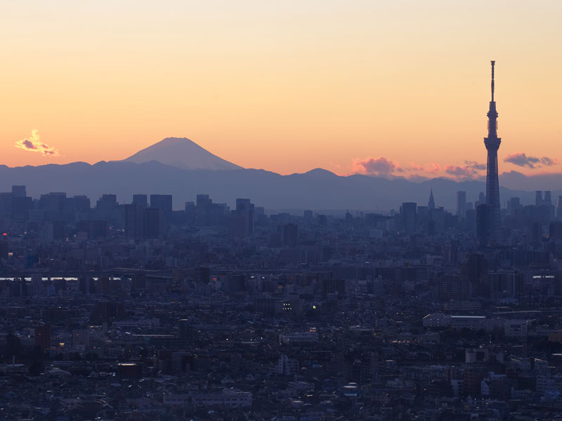 Skyline de Tokio con vistas al Fuji al atardecer durante el viaje de idiomas