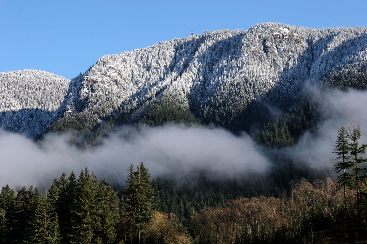 Wald und schneebedeckter Bergrücken mit Nebelbank, Eindrücke aus der Sprachreise.