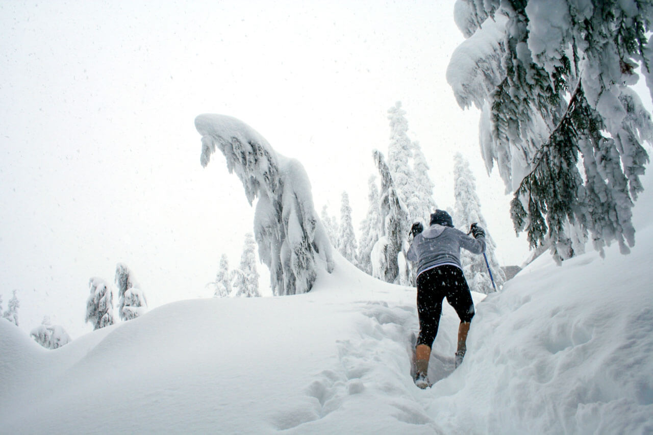 Aufstieg durch tiefen Schnee zwischen vereisten Tannen, Konversation üben im Alltag.
