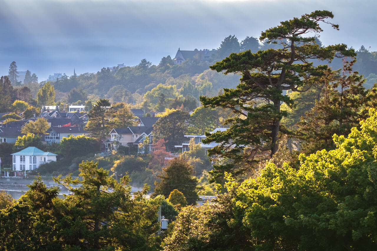 Grünes Wohnviertel am Hang mit Sonnenstrahlen, Wortschatz Alltag trainieren auf deiner Sprachreise