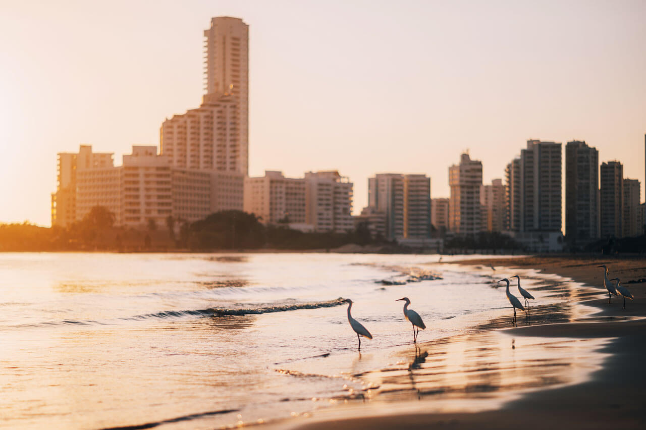 Möwen am Strand vor Hochhäusern Cartagena Hörverstehen üben am Meer
